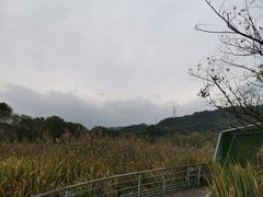 -西湖风景区-江洋畈生态公园