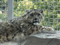 -青藏高原野生动物园