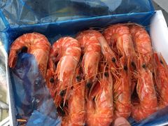 -江杨农产品批发市场