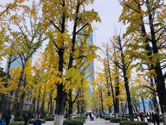 -百林公园-两江幸福广场