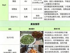 -莱莱小笼·乔艾