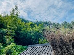 -原乡芦茨咖啡