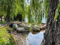-西昌邛海湿地