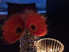 -随意鸟地方101观景餐厅