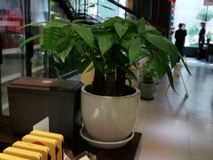 大堂-饭怕鱼(阳光100店)