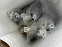 -马陆小张葡萄园农家乐