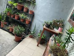 -唐·匠心·动物奶油·冰淇淋蛋糕(石岐店)