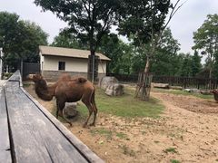 -上方山森林动物世界