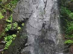 -本溪汤沟绿石谷森林公园