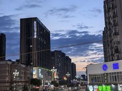 -唐哥冷淡杯(电子路店)