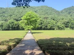 -云栖竹径