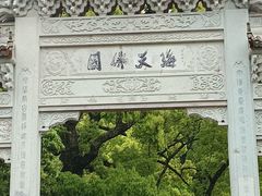 -普陀山风景名胜区-法雨禅寺