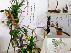 -南山植物园