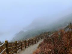 -金子山原生态旅游风景区