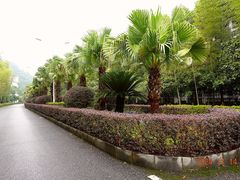 -明月山天沐温泉度假村