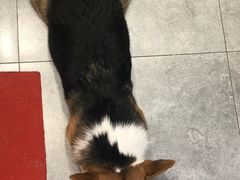 -六鸭堂(新街口店)