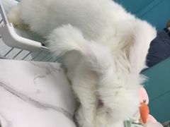 -其美潮州鱼旦粉世家(花城汇南区分店)