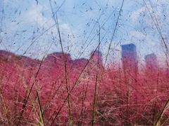 -南京奥林匹克体育中心
