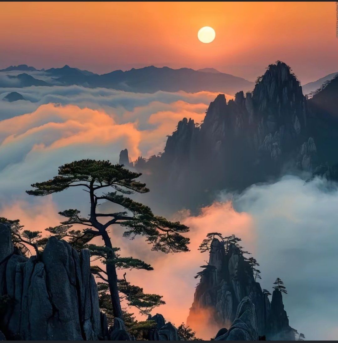 天天领红包风景很美,入眼就是美丽,留一