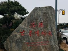 -洛阳古墓博物馆