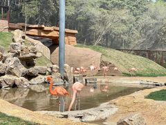 -沈阳森林动物园
