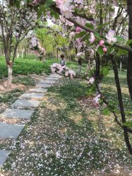 -大望京儿童游乐场