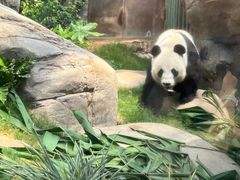 -香港海洋公园