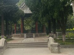 -保定市动物园