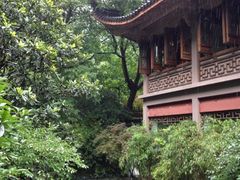 iphone_upload_pic-十八棵（老龙井）御茶园(老龙井店)