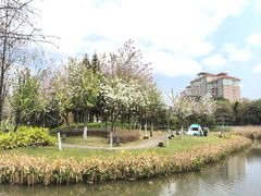 -映月湖公园