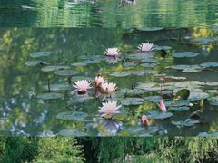 -杭州植物园