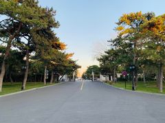 -钓鱼台国宾馆