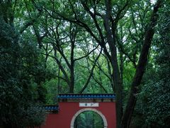 -灵谷景区