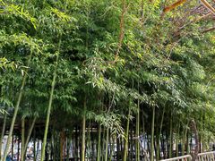 -石砭峪水库