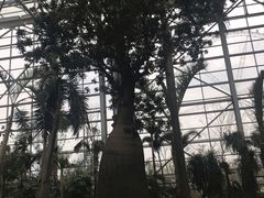 -祥源·阜阳生态乐园