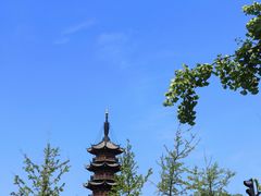 -龙华素斋(龙华路店)