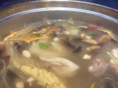 -千岛蚝高压锅生蚝·人参火锅(白云万达店)