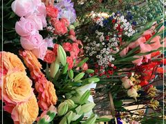 -BoBloom花店(晶耀前滩店)