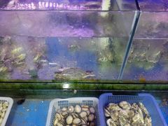 -老青岛海鲜烧烤大排档