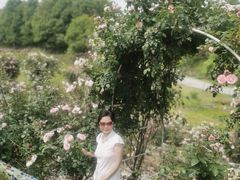-都江堰玫瑰花溪谷