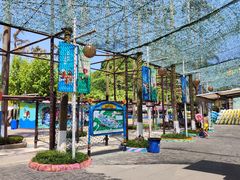 -重庆海昌加勒比海水世界