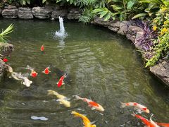 -聚福宝合苑食府(南头镇店)