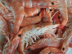 -宾朋海鲜特色美食餐厅·纯手工鲅鱼水饺(兴海路店)