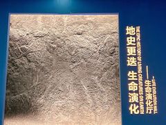 -湖南省地质博物馆