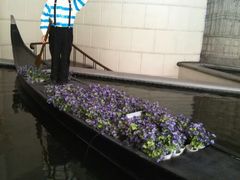 android_upload_pic-深圳威尼斯英迪格酒店