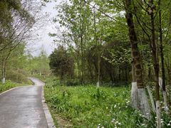 -桤木河湿地公园