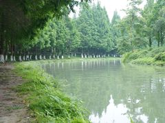-升仙湖公园