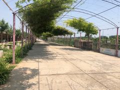 -河北村民俗体验园