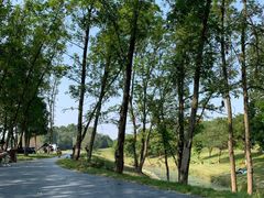 -两河城市森林公园