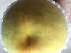 -樂桃源奉贤黄桃种植采摘基地